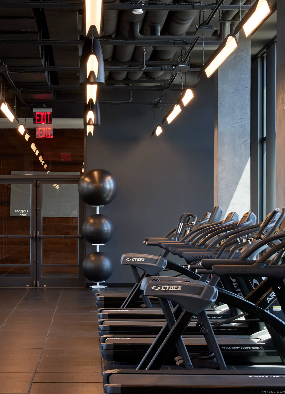 Copper Tone Gym